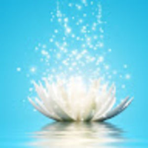 Meet your Posher, Marie